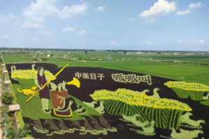 黄色网站